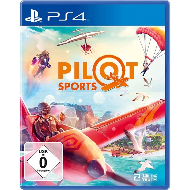 Pilot Sports PS4