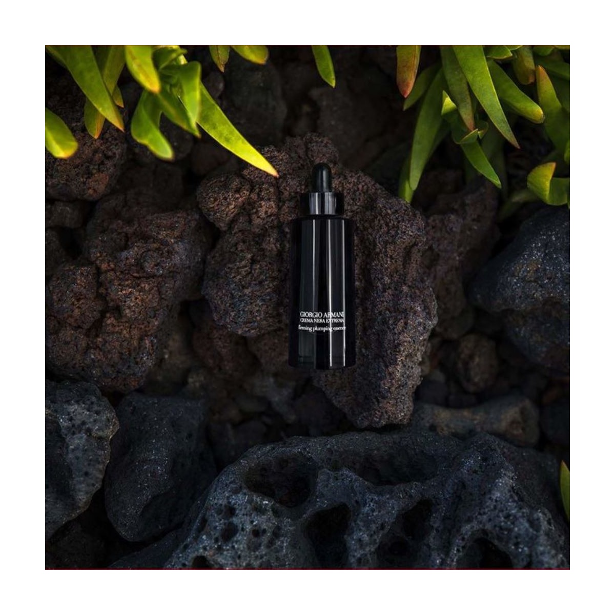 Sérum Firming Solution Creme Nera Extrema - 30 ml 5