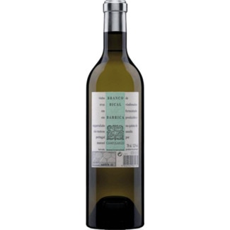 Vinho Branco da Bairrada Bical garrafa 75 cl - Campolargo
