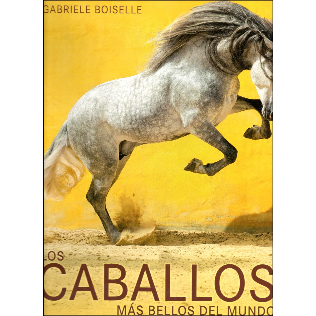 Los Caballos Más Bellos Del Mundo 1