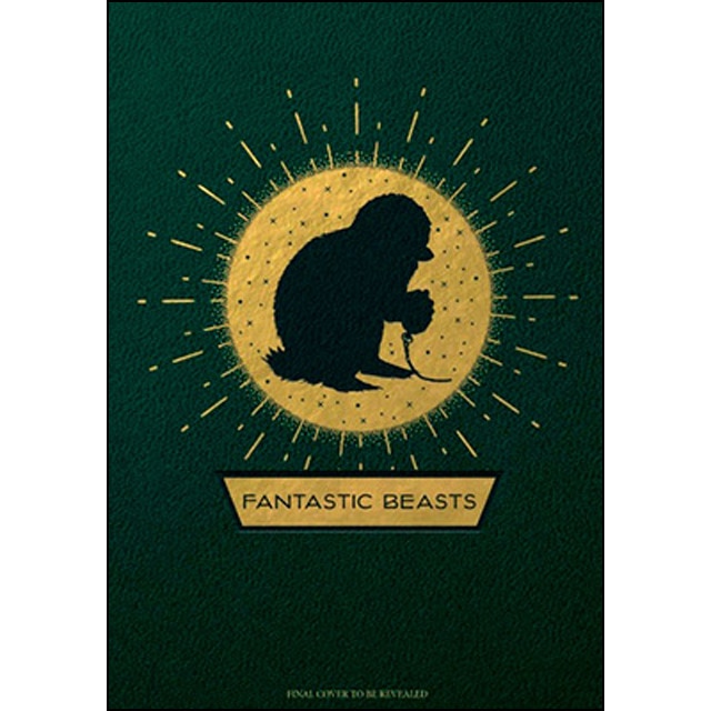 Fantastic Beasts And Where To Find Them: Magical Creatures 1