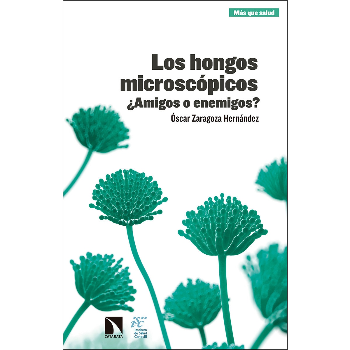 Los Hongos Microscópicos: ¿Amigos O Enemigos? 1