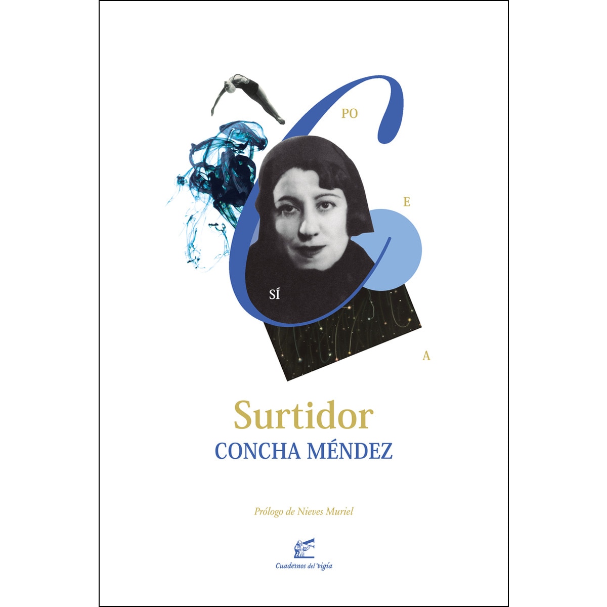 Surtidor 1