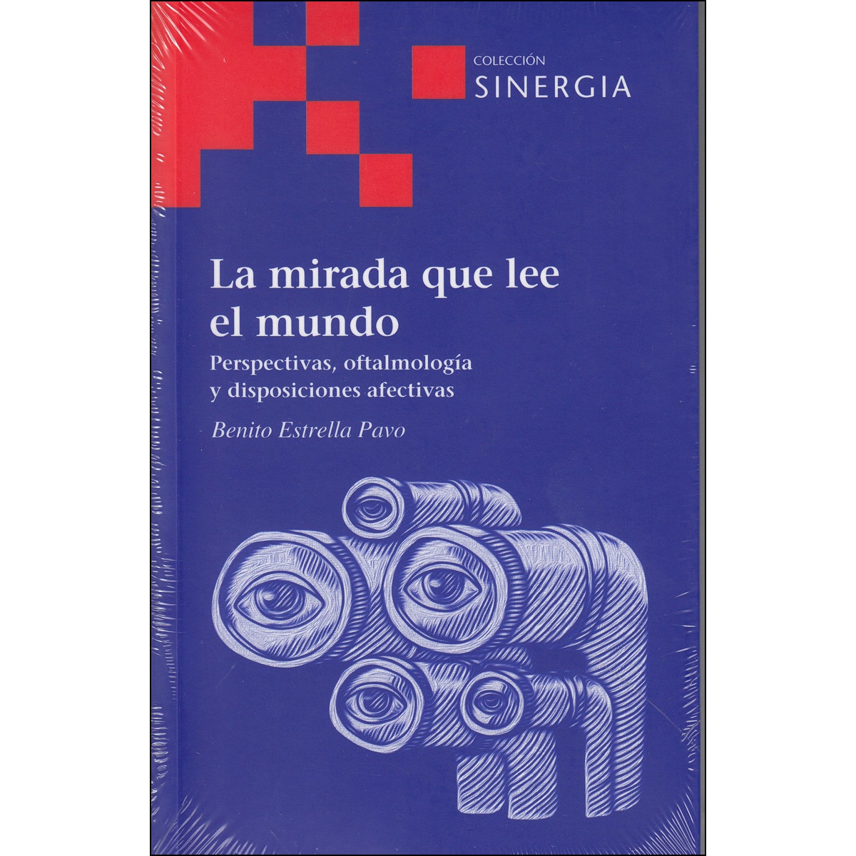 La Mirada Que Lee El Mundo 1