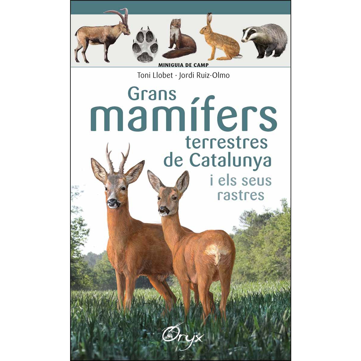 Imagem 0 de Grans mamífers terrestres de Catalunya i els seus rastres (Capa mole)