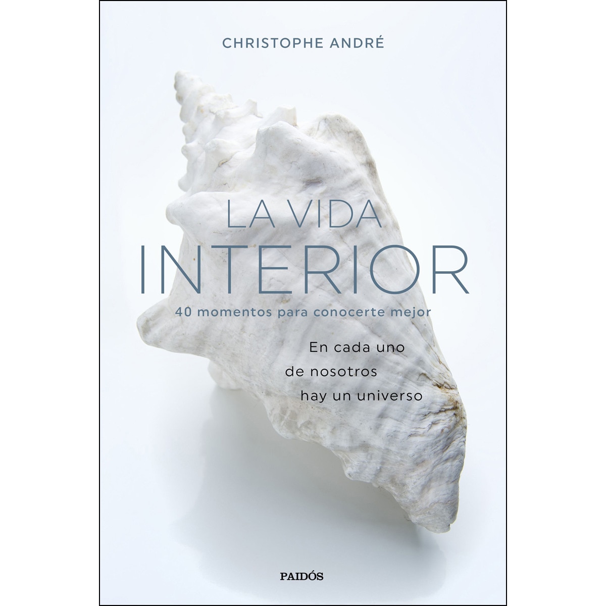 La vida interior: 40 momentos para conocerte mejor (Capa mole com abas) 1