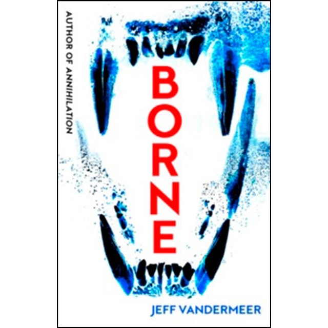 Borne 1