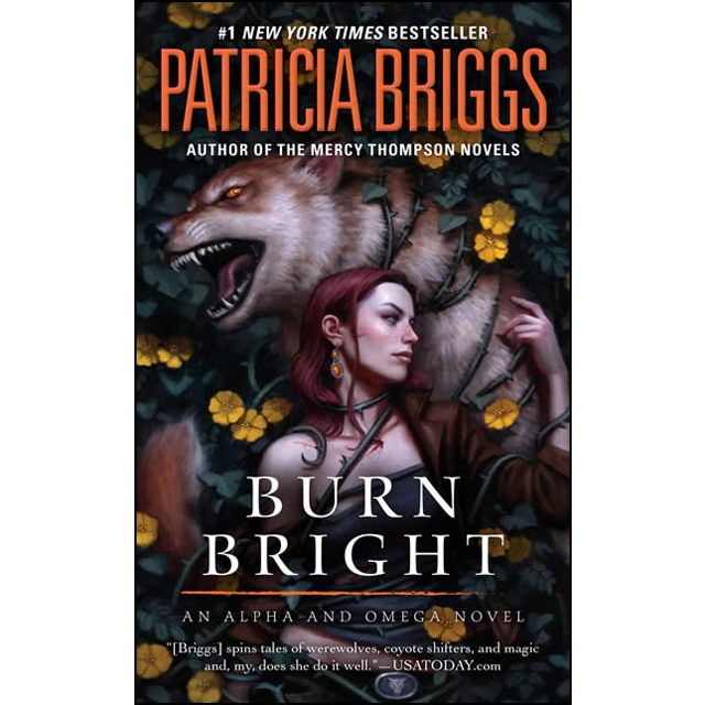 Imagem 0 de Burn Bright