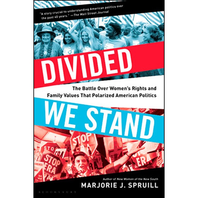 Divided We Stand 1