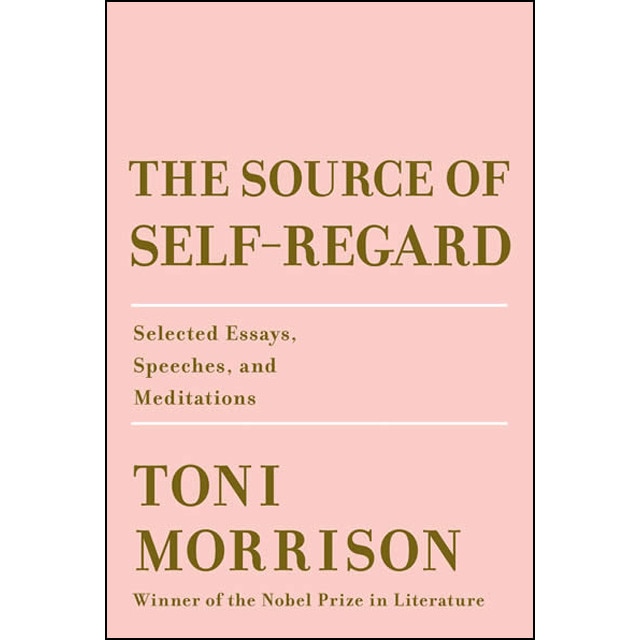 Imagem 0 de The Source Of Self-Regard