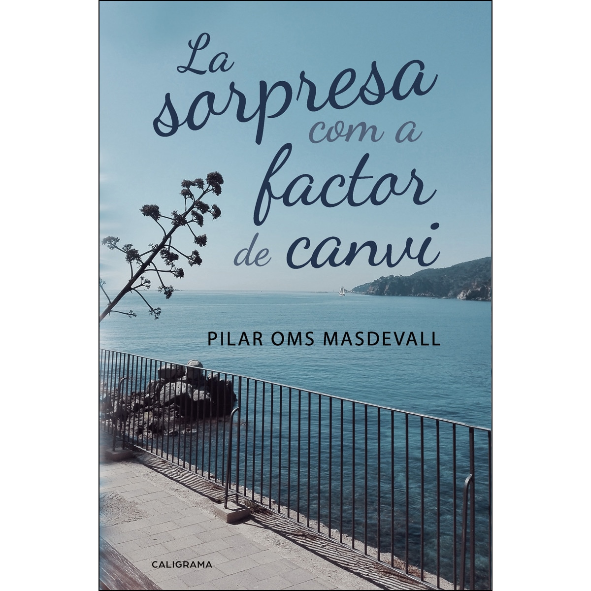 La sorpresa com a factor de canvi(Tapa blanda) 1