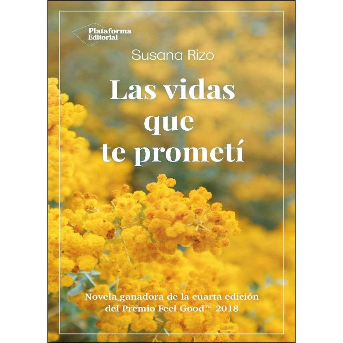 Las Vidas Que Te Prometí 1