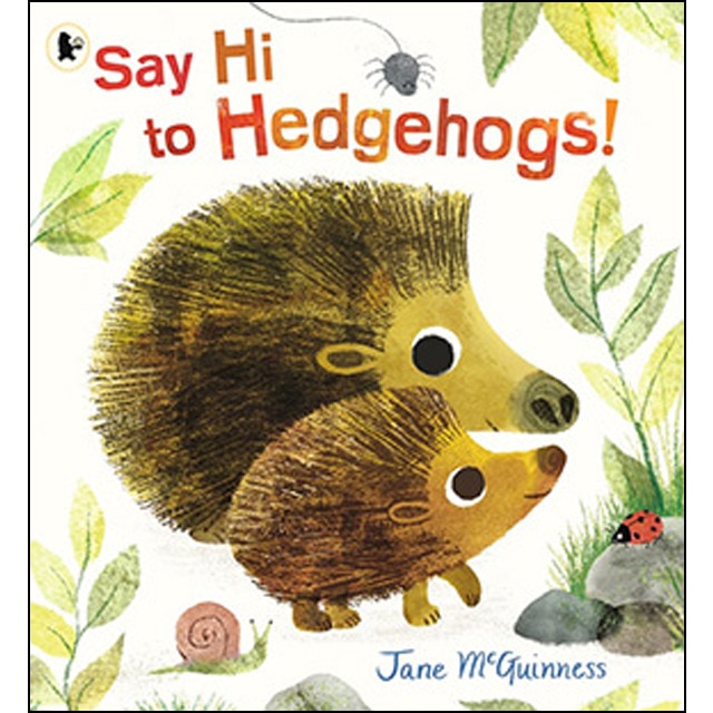 Say Hi To Hedgehogs! 1