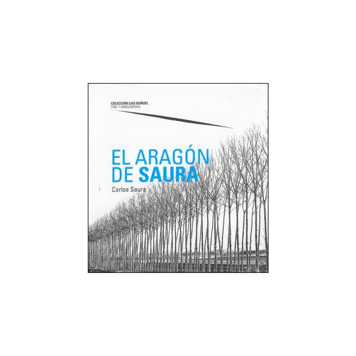 El Aragón De Saura 1