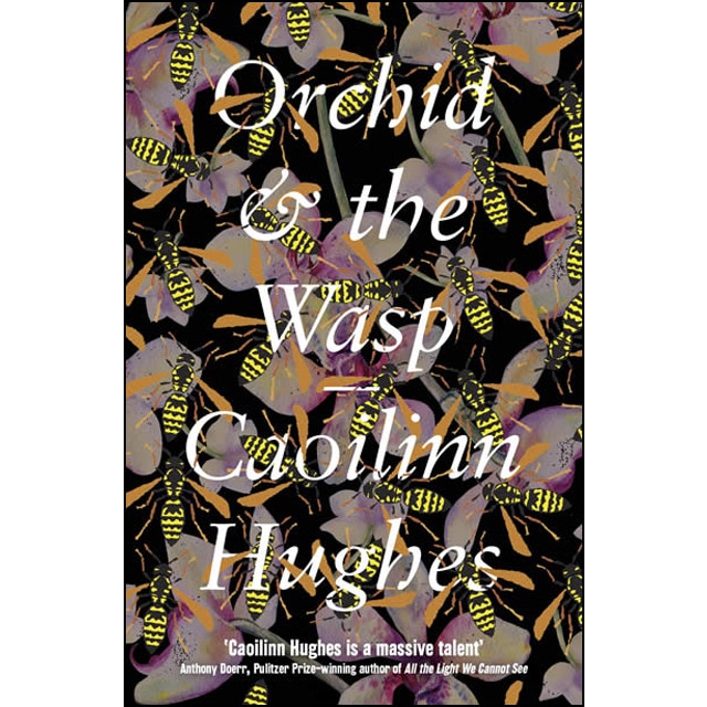 Orchid And The Wasp 1