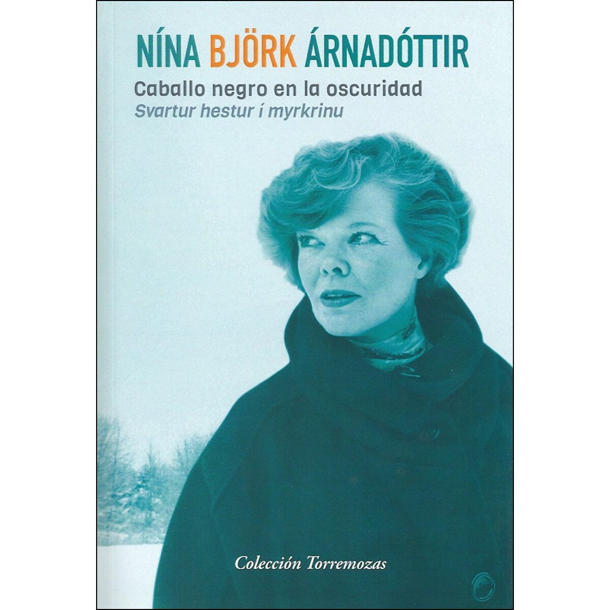 Caballo negro en la oscuridad (Capa mole com abas) 1