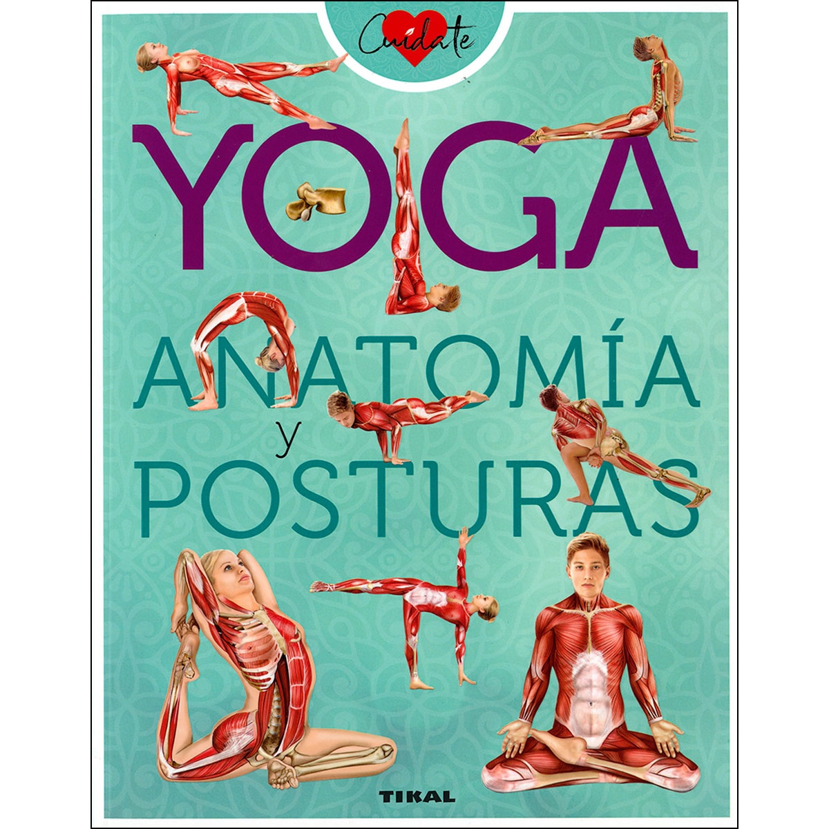 Yoga. Anatomía y posturas(Tapa blanda) 1