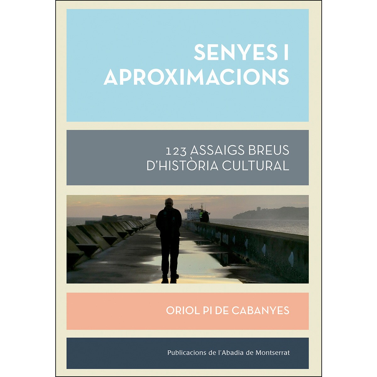 Senyes i aproximacions: 123 assaigs breus d´història cultural (Capa mole) 1