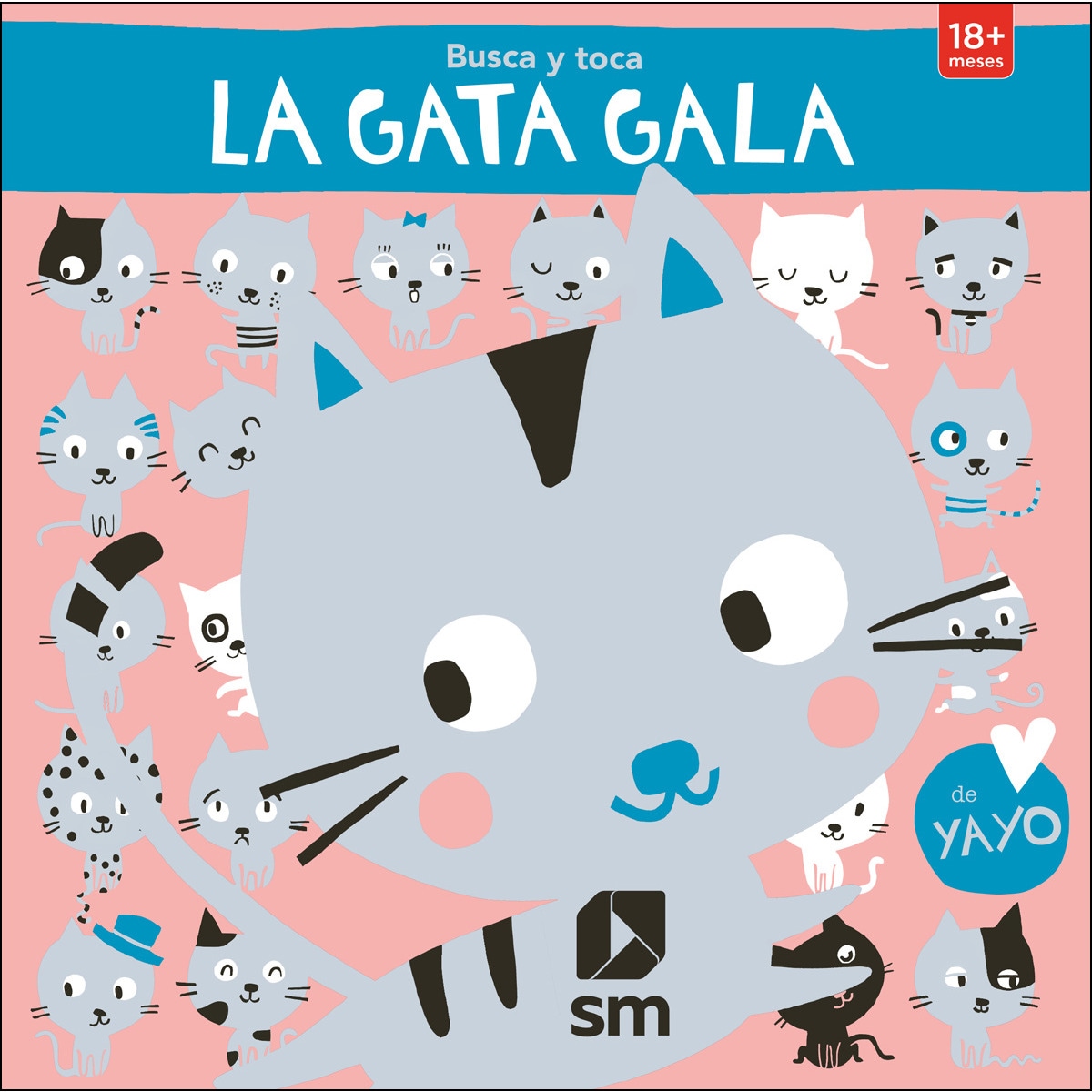 Busca a la gata Gala 1