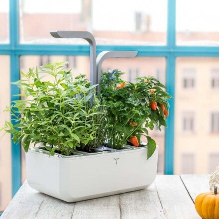 Horta Urbana Véritable Smart Garden - Branco e Cinzento Branco / Cinzento-3