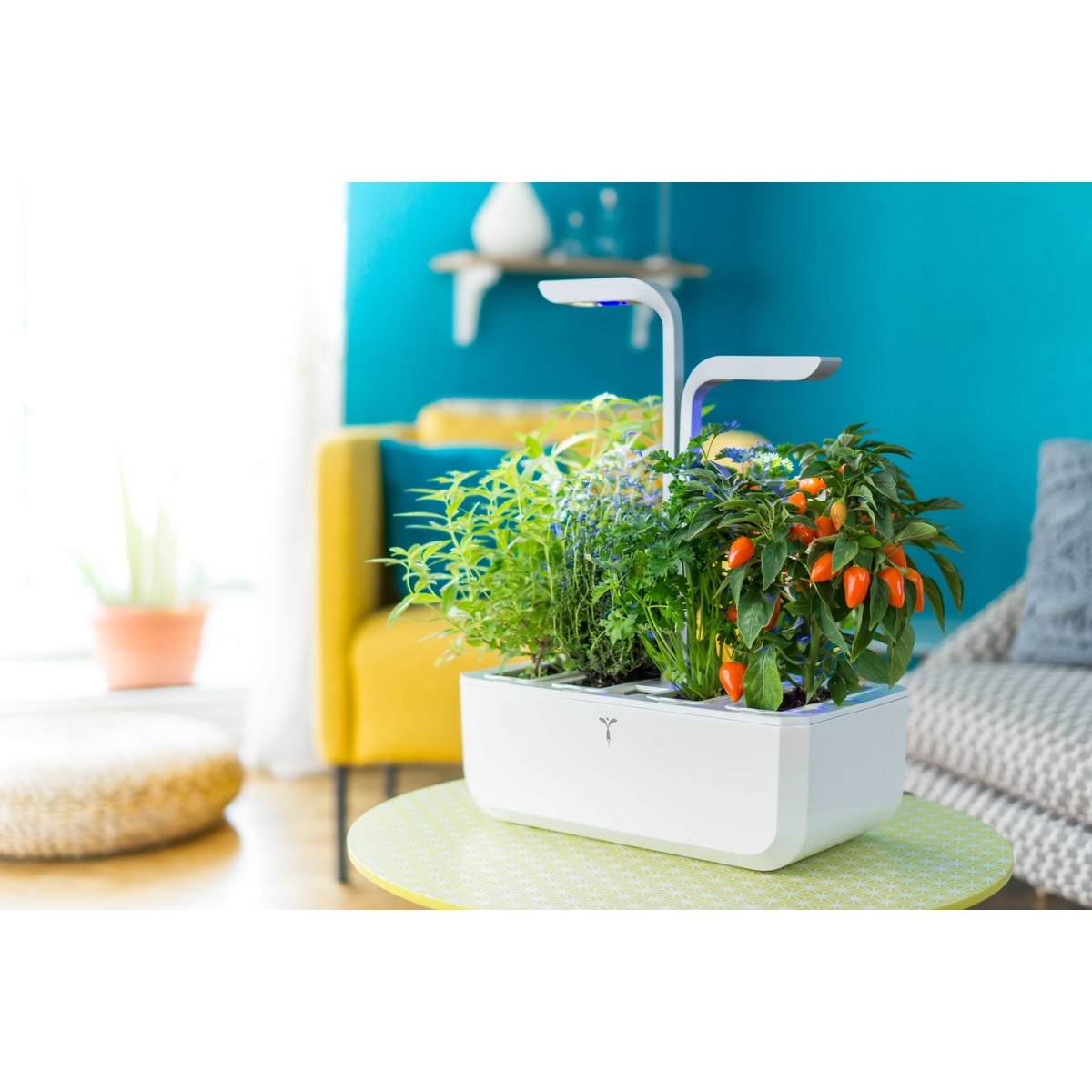 Horta Urbana Véritable Smart Garden - Branco e Cinzento Branco / Cinzento-5