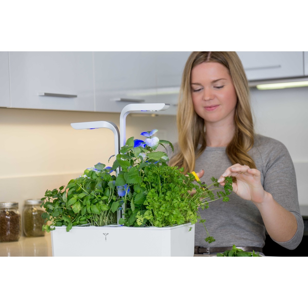 Horta Urbana Véritable Smart Garden - Branco e Cinzento Branco / Cinzento-6