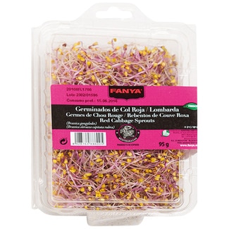 germinados de col roja tarrina 95 g - Fanya
