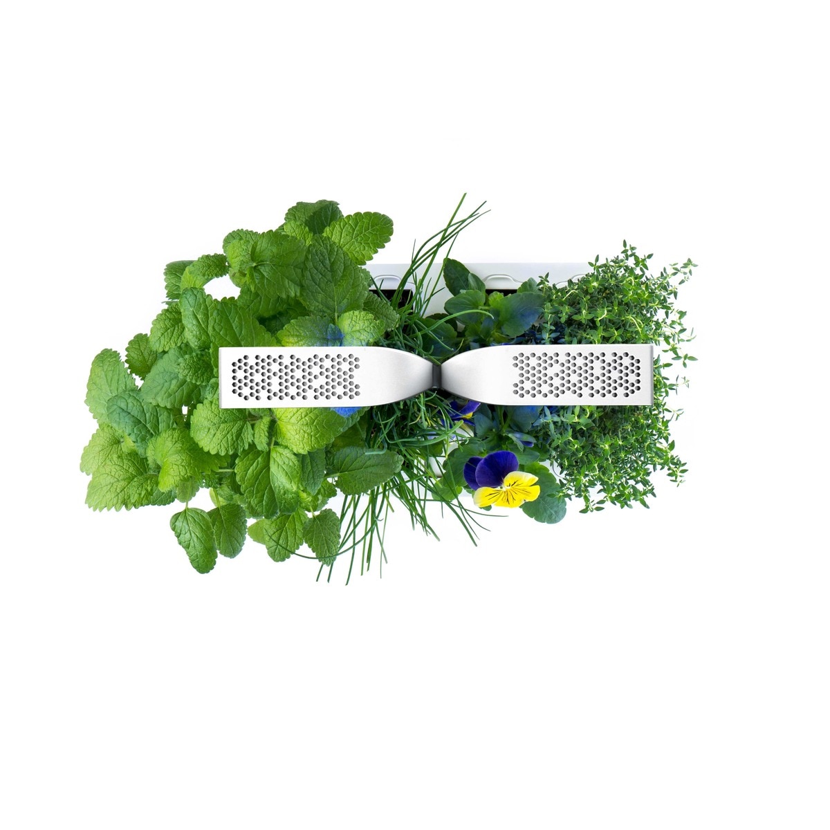 Horta Urbana Véritable Smart Garden - Branco e Cinzento Branco / Cinzento-7