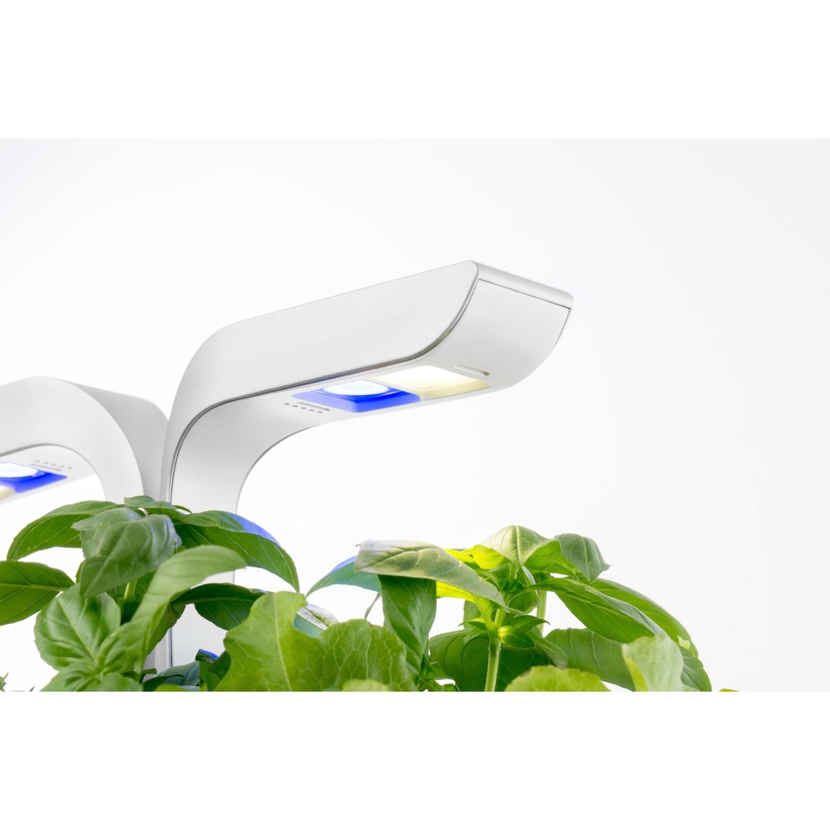 Horta Urbana Véritable Smart Garden - Branco e Cinzento Branco / Cinzento-8