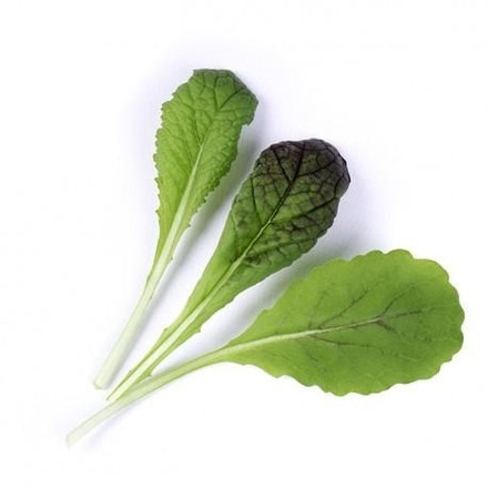 Lingot® de Legumes Véritable® Mostarda Vermelha Orgânica 2