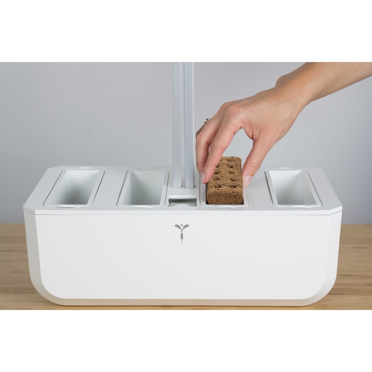 Lingot® de Legumes Véritable® Mostarda Vermelha Orgânica 3