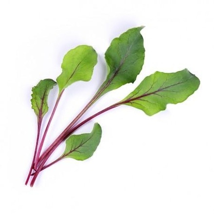 Lingot® de Legumes Véritable® Beterraba Orgânica 2
