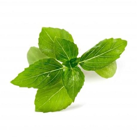 Lingot® de Ervas Aromáticas Véritable® Manjericão Canela Orgânico 2