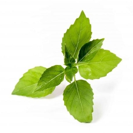 Lingot® de Ervas Aromáticas Véritable® Manjericão Limão Orgânico 2