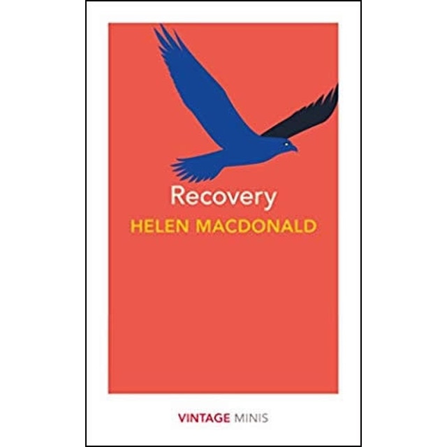 Imagem 0 de Recovery