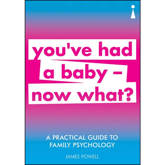 A Practical Guide To Family Psychology 1