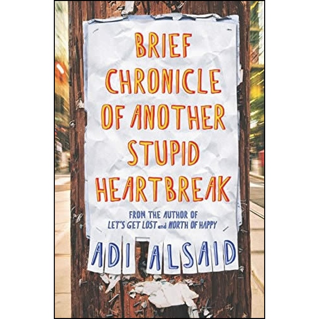 Brief Chronicle Of Another Stupid Heartbreak 1