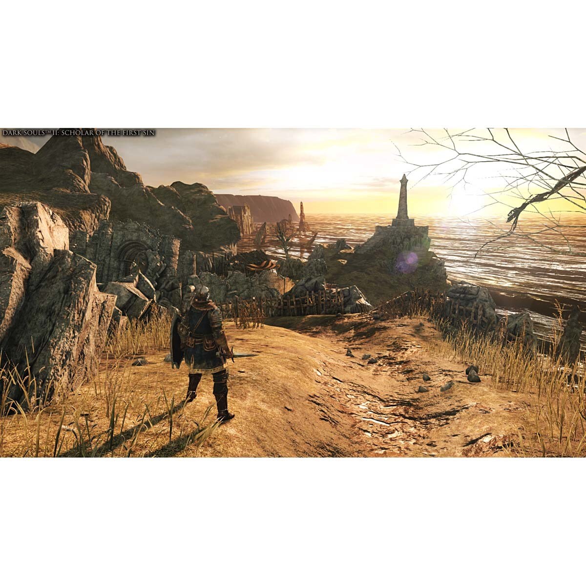 Dark Souls Trilogy - PlayStation 4 2