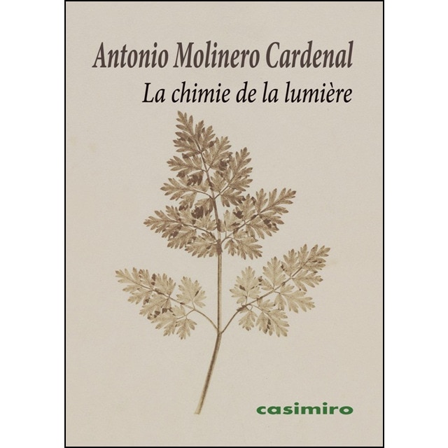 La Chimie De La Lumière 1