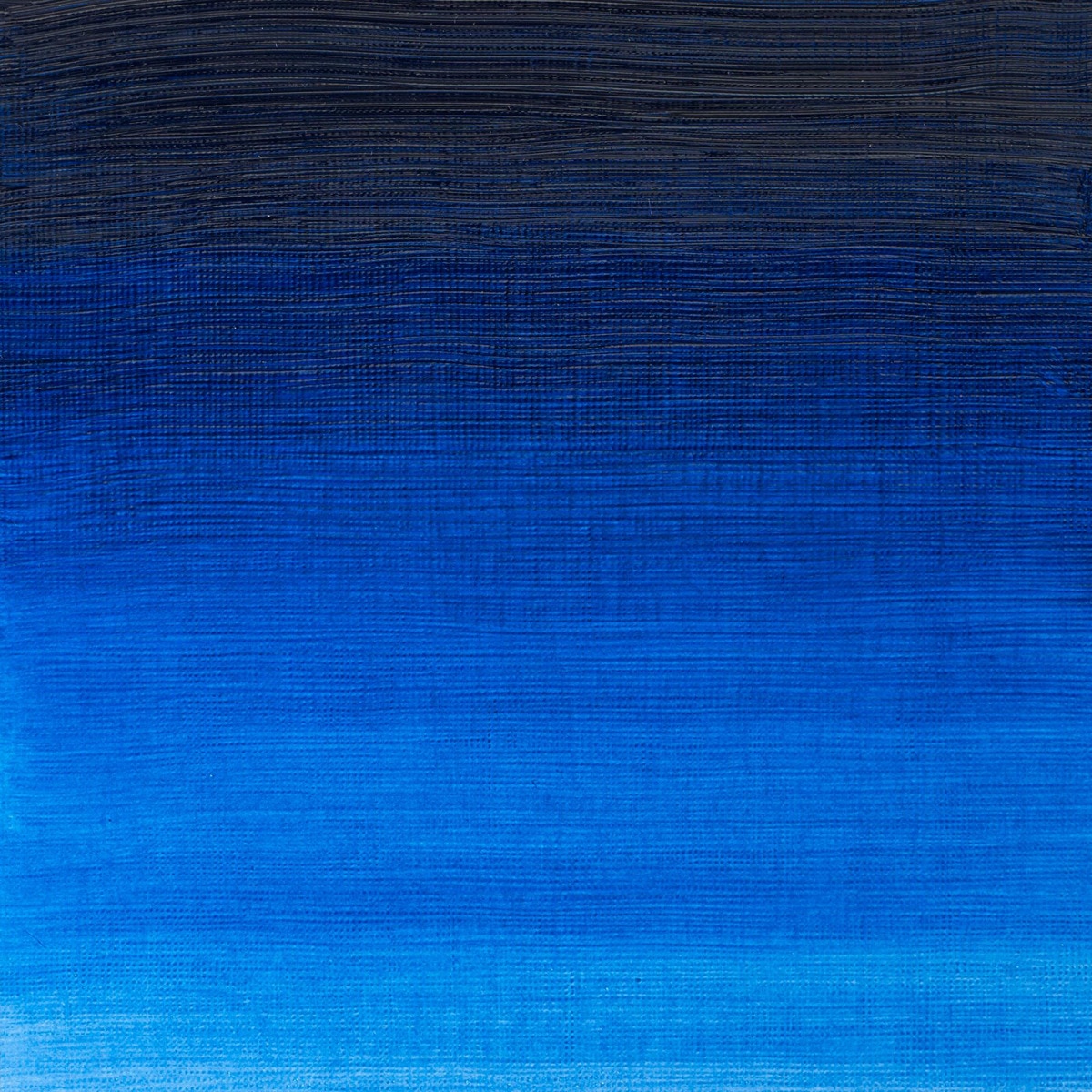 Tubo de Pintura al Óleo Winton Winsor & Newton 200 ml Azul Ftalo 3