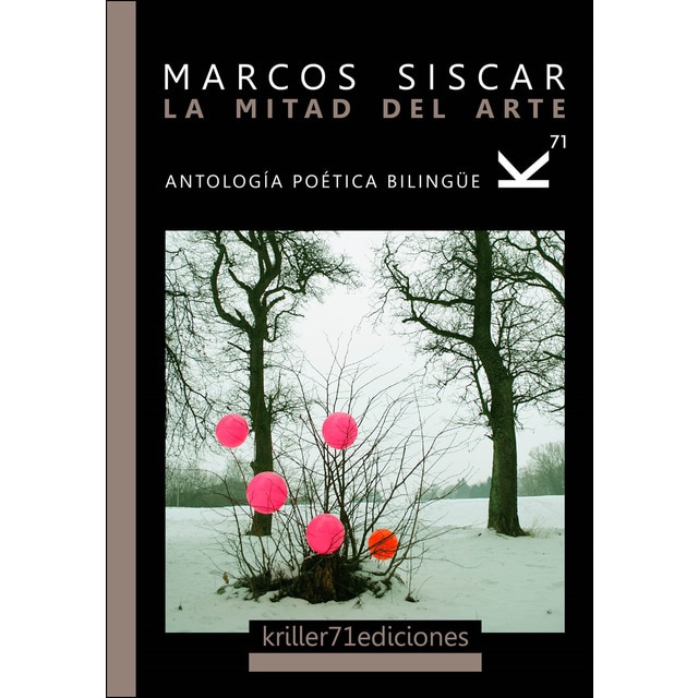 Imagen 0 de La mitad del arte