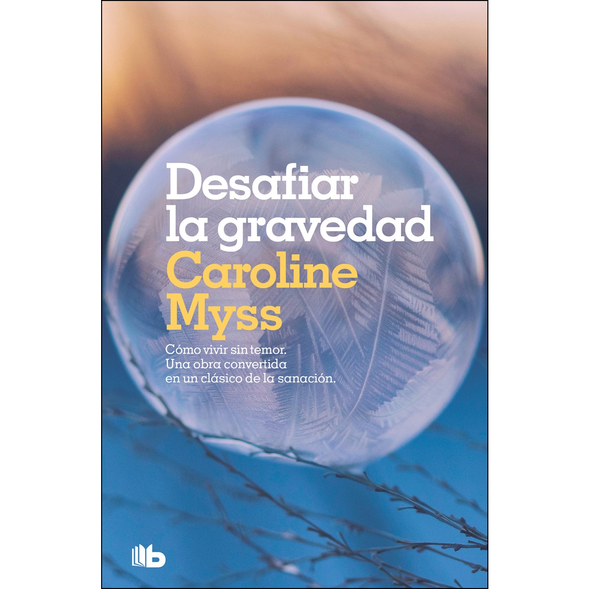 Desafiar la gravedad (Bolsillo) (Tapa blanda) 1