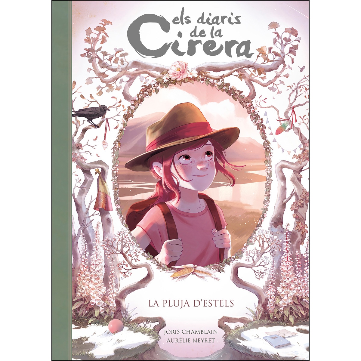 Imagem 0 de Els diaris de la Cirera 5 - La pluja d'estels (Capa dura)