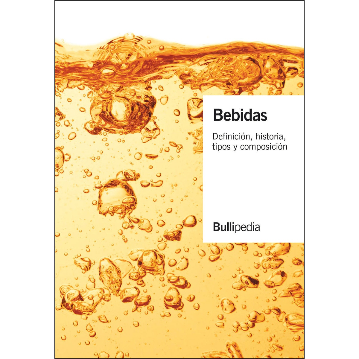 Imagem 0 de Bebidas: Definición. Historia. Tipos Y Composición Vol.I