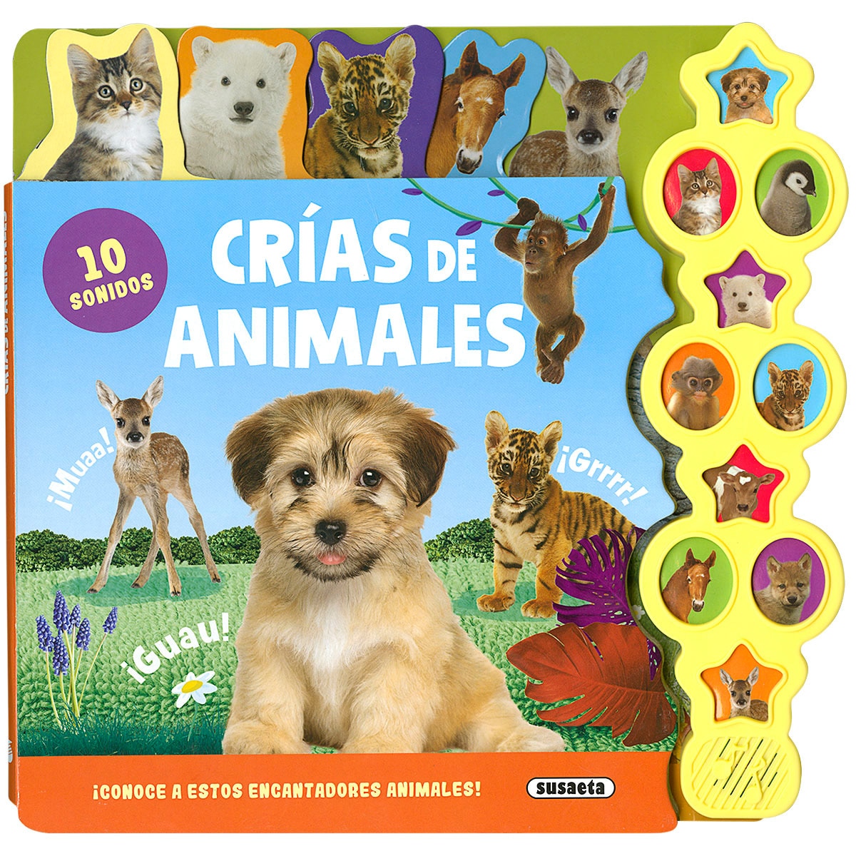 Crías de animales 1