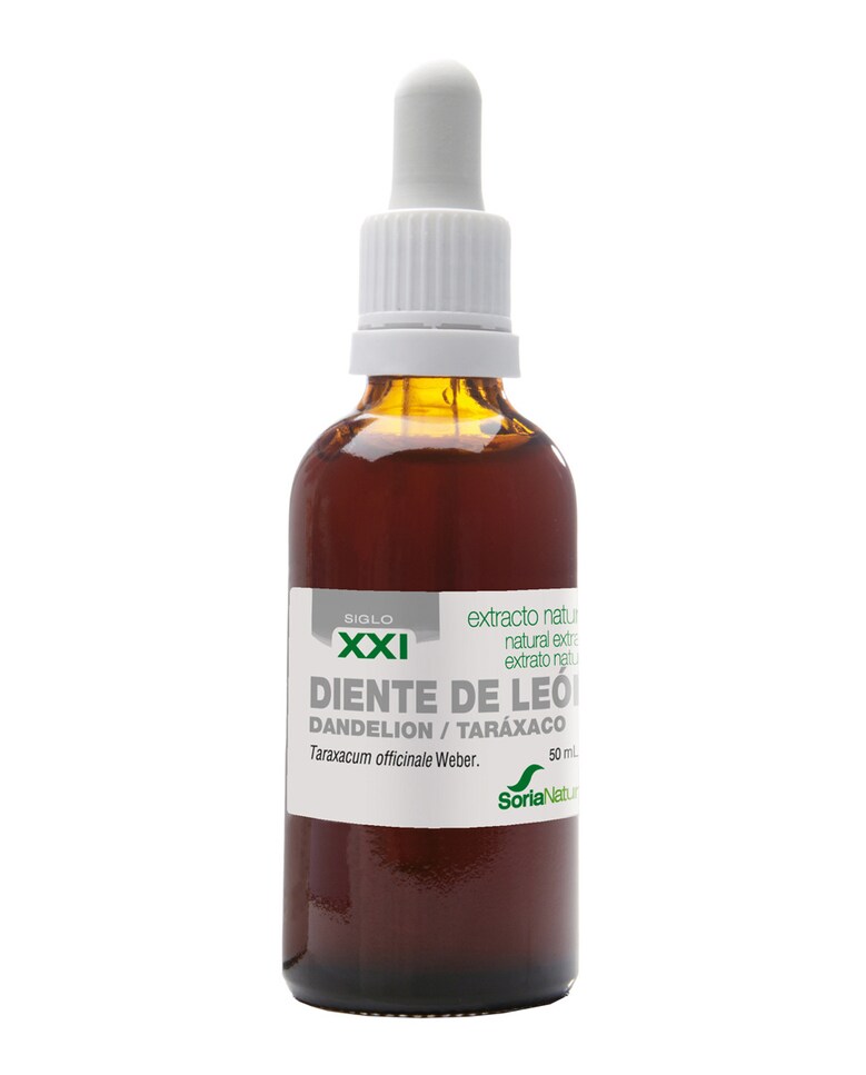 Extracto Diente de León Siglo XXI Soria Natural 1