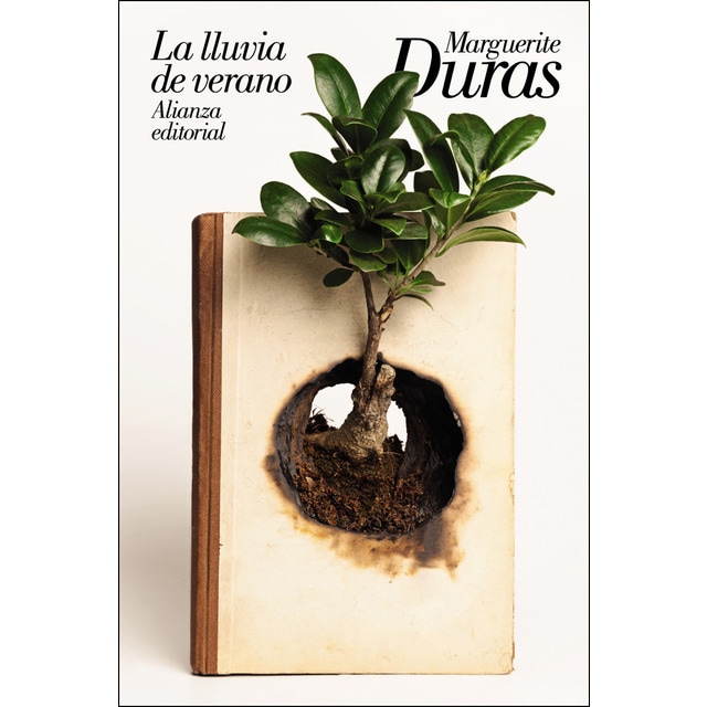 Imagen 0 de La lluvia de verano (Bolsillo) (Tapa blanda)