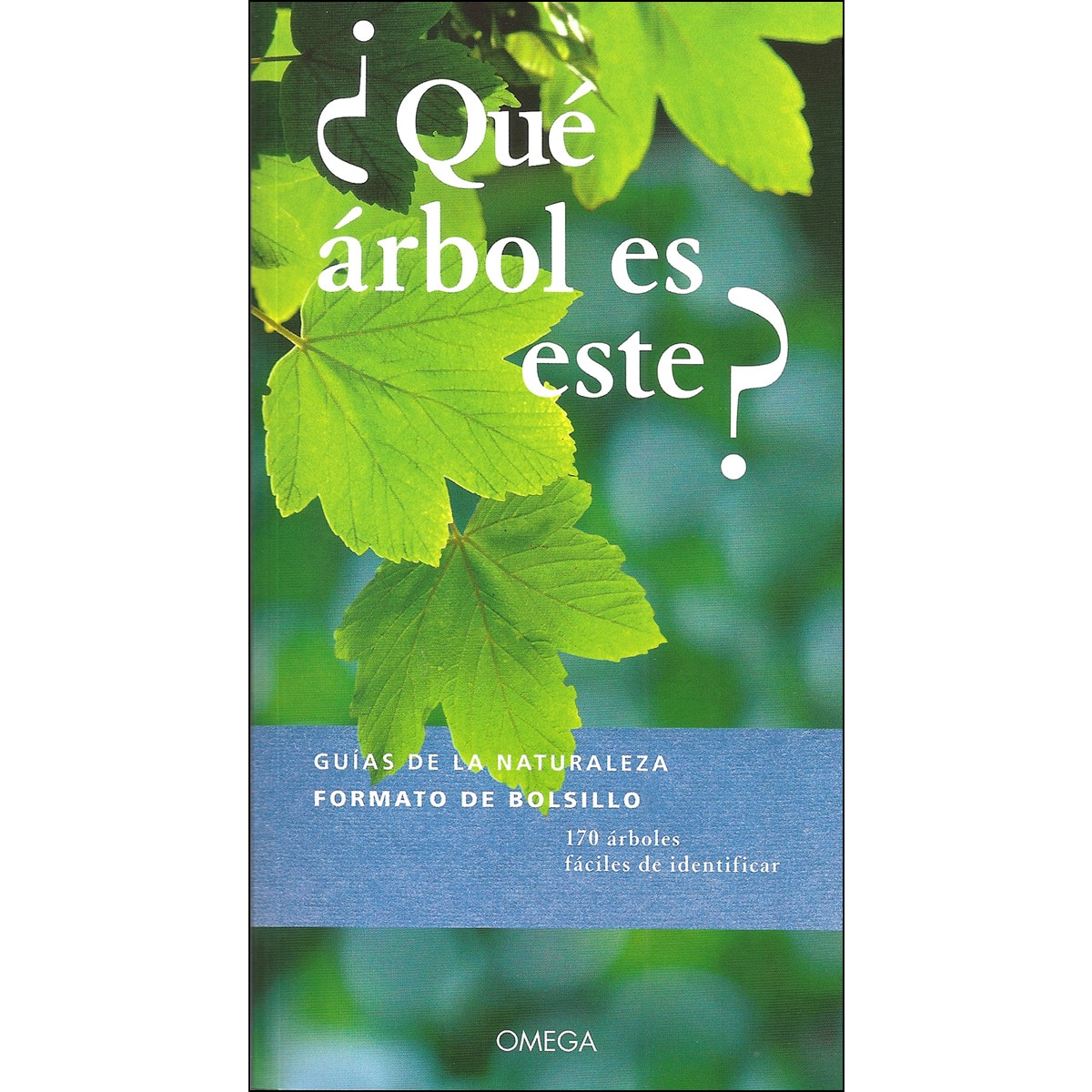 ¿Que Arbol Es Este? 1