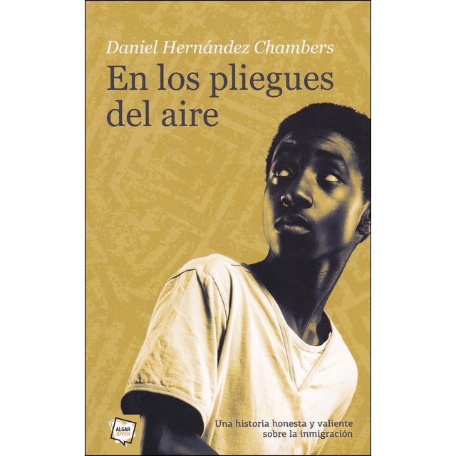 Imagen 0 de En los pliegues del aire (Tapa blanda)