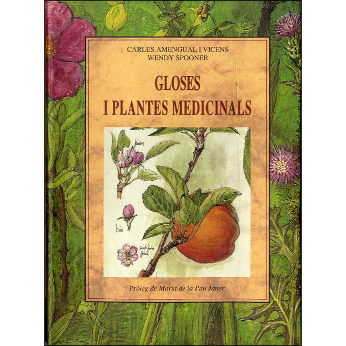 Gloses I Plantes Medicinals 1